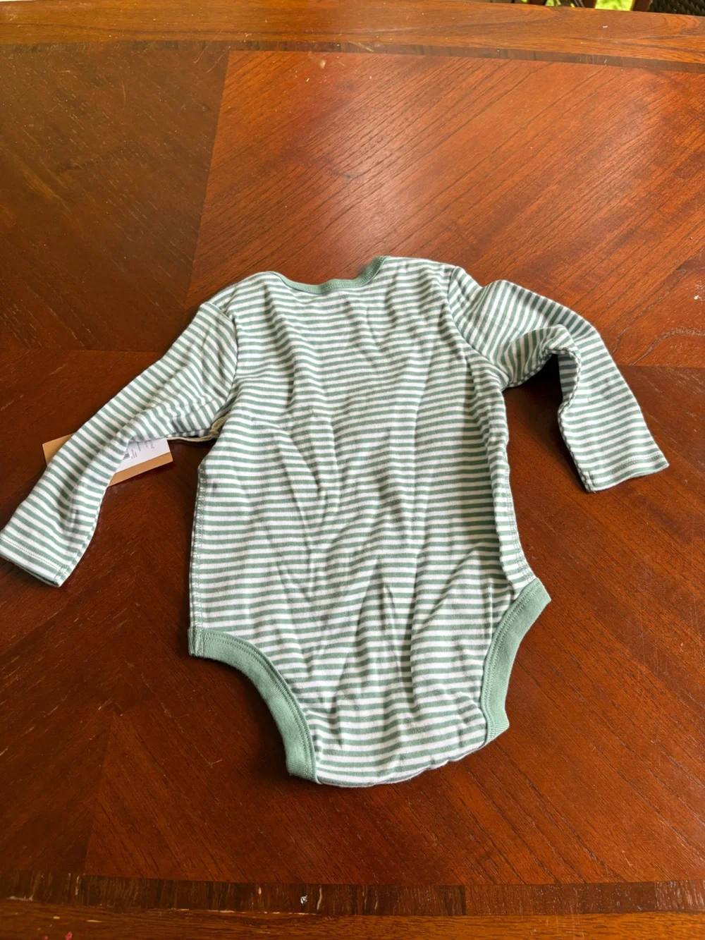 NWT Easy Peasy Organic Cotton Long-Sleeve Bodysuits - Rust & Sage Stripe TR10